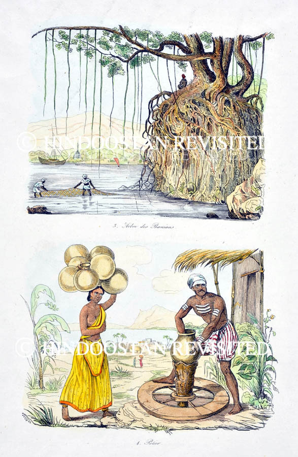 /data/Original Prints/Miscellaneous/BANYAN TRRE - POTTER.jpg